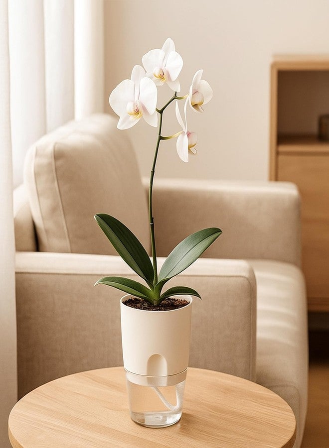 Planterhoma 3 Pack Self Watering Pots for Indoor Plants, 6 Inch Plant Pot Plastic Self Watering Planter for Orchid, African Violet, Small Clear Flower Pots with Drainage Holes and Wicking Rope, White - Image 2